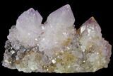 Cactus Quartz (Amethyst) Crystal Cluster - South Africa #132504-1